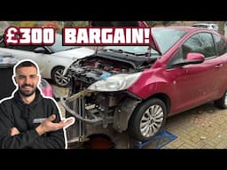 I ATTEMPT TO FIX THIS DIRT CHEAP FORD KA