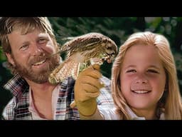 Wild America Specials | Wild Wings | HD