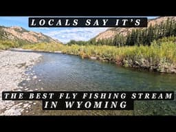 They told us this was - THE BEST FLY FISHING - stream in Wyoming!