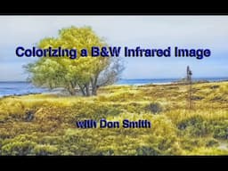 Colorizing a B&W IR Image in Photoshop