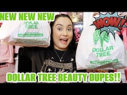 DOLLAR TREE BEAUTY FINDS 🤩🤩🤩 SO MANY DUPES!!! 😍😍😍