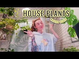 Repotting all of my house plants| My Tips!