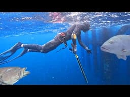 Diving MASSIVE Underwater Structure 103 Feet Deep! {FISH Were EVERYWHERE!}