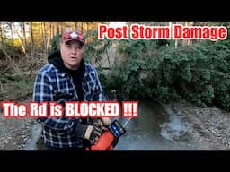 I can't get To The Cabin !!!! The road  is blocked by a BIG tree after a big storm .