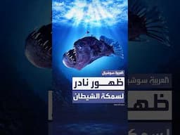 ظهور نادر لسمكة الشيطان "المخيفة" في ساحل بجزر الكناري