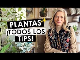 🔥DECORACIÓN CON PLANTAS DE 10!🔥💯