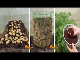 Potato Tower - I Wish I Knew This Potato Growing Trick Sooner