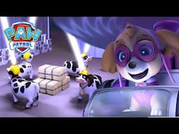 High Flying Skye! - PAW Patrol Episode - Cartoons for Kids