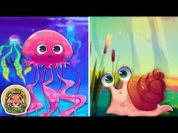 Learn About Animals That Don't Have Backbones! | Animals Songs For Kids | KLT WILD