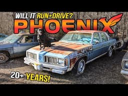 FORGOTTEN 20+ YEARS! Pontiac Phoenix - Will It RUN and DRIVE?