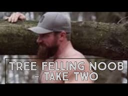 Tree felling noob - take two. How to kick ass on a birch tree and drop it on a dime