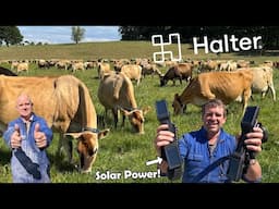 I'm Getting Halter! - Virtual Fencing Technology