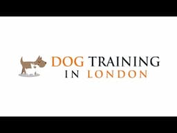 Dog Training in London - Behavioural and Puppy Consultations to help address any problem behaviour