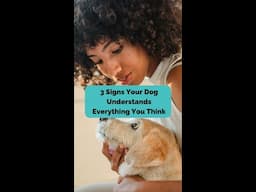 3 Signs Your Dog Understands EVERYTHING You Think #shorts