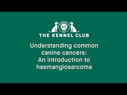 Understanding common canine cancers: An introduction to haemangiosarcoma