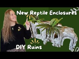 Part 3: Moving All Of My Reptiles Across Australia… Setting up Enclosures with DIY Ruins!