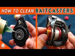 How to Clean & Maintain Your Baitcasting Reels | Fishing Reel Care Basics