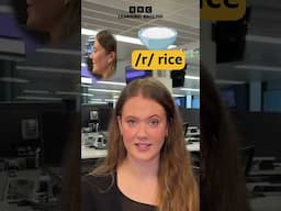 ‘rice’ or ‘lice’? Pronunciation #shorts