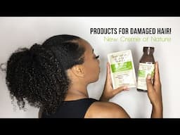 Products for Damaged Hair | July Treasure Tress Unboxing