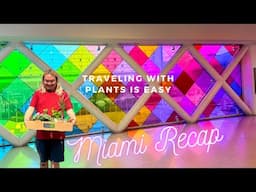 How I Travel (Flying) With Plants | Miami Plant Haul