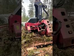 Amazing Forestry Machines: Wood Processor!