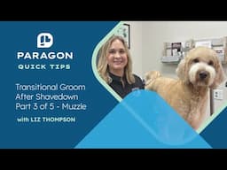 Quick Tips: Transitional Groom After Shavedown Part 3 of 5 - Muzzle with Liz Thompson