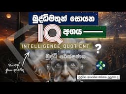 ඔයාගේ IQ Level එක දන්නවද ? 😳 What is IQ Level & Test - Intelligence Quotient | Sinhala IQ - Bio Api