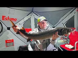 Ice Fishing Sturgeon Your Questions Answered