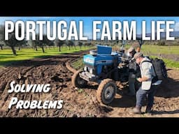 Planting crops on the fields and solving problems - PORTUGAL FARM LIFE