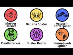 Insects That Will Kill You Explained in 9 Minutes