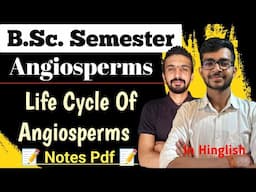 Life Cycle Of Angiosperms || Bsc Semester || By Chetan Sir