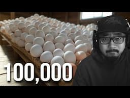 100,000 Eggs Stolen in PA!