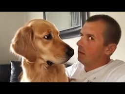 When your dog realizes you’re not sharing 😄 Funniest Dogs and Human