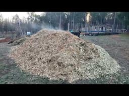 The Importance of Wood Chips in The Garden: Delivery Day (Part 1)