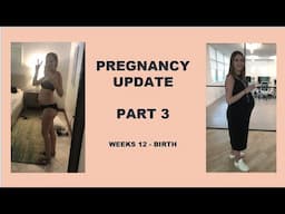 Pregnancy Update Weeks 12 - Birth| Second Trimester | Third Trimester | Cesarean | Scoliosis | IVF |