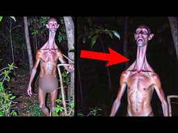 What Are These Terrifying Creatures Caught On Camera? Here are the Shocking Details!