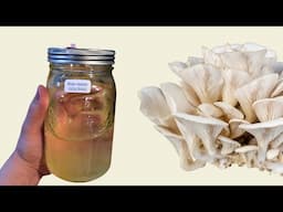 How To Make Liquid Culture For Growing Mushrooms