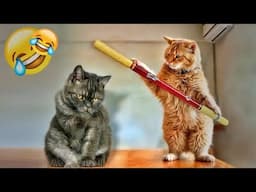 You Laugh You Lose😻🐶Funniest Dogs and Cats 2024😹