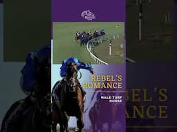 Rebel’s Romance wins the Eclipse Award for Male Turf Horse! Congrats to this #BC22 & #BC24 Champ!