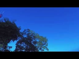 BLUE SKY | FREE STOCK VIDEO | NO COPYRIGHT