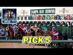 Tampa Bay Downs Preview & FREE Pick 5 Bets | The Magic Mike Show 579