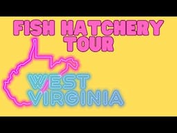 Fish Hatchery Tour | West Virginia Wildlife