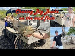 Chasing Big Bucks on the mud flats!! - Mud crabbing nth qld