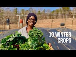 10 Crops You Would Be Crazy Not to GROW In the Winter