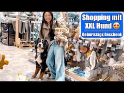 Shopping mit XXL Hund 😍 Happy Birthday 2. Geburtstag! Geschenk einkaufen VLOG | Mamiseelen