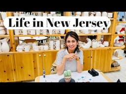 Life in New Jersey - Vegan Food Festival, Ceramics Painting, Relaxing day at Home | Indian in USA