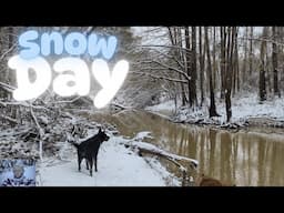 Snow Day