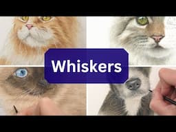 Realistic WHISKERS in Watercolor, Tips and Solutions