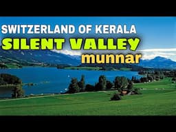 SILENT VALLEY, MUNNAR | SWITZERLAND OF KERALA | unexplored location in munnar