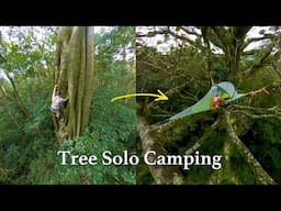 Solo climbing a giant strangler fig tree and camping in it overnight